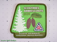 2020 Scoutrees